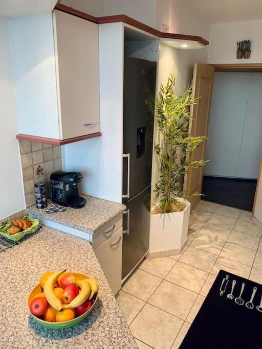 Grand Appartement 2 Chambres 5 Pers Max, Vue Panoramique Avec Parking Mulhouse Kültér fotó