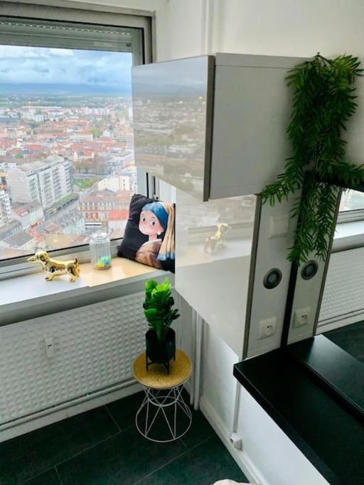 Grand Appartement 2 Chambres 5 Pers Max, Vue Panoramique Avec Parking Mulhouse Kültér fotó