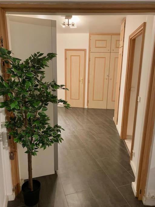 Grand Appartement 2 Chambres 5 Pers Max, Vue Panoramique Avec Parking Mulhouse Kültér fotó
